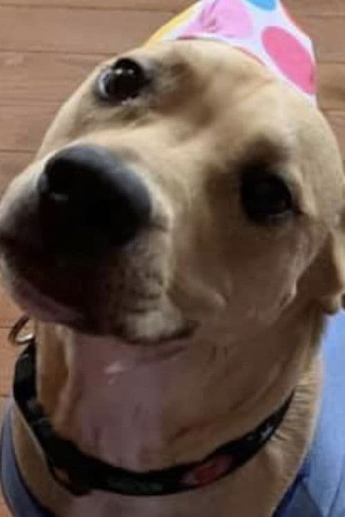 Malfoy profile photo