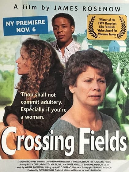 Crossing Fields poster