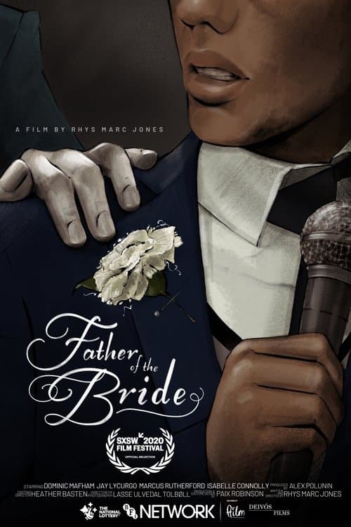Father of the Bride poster