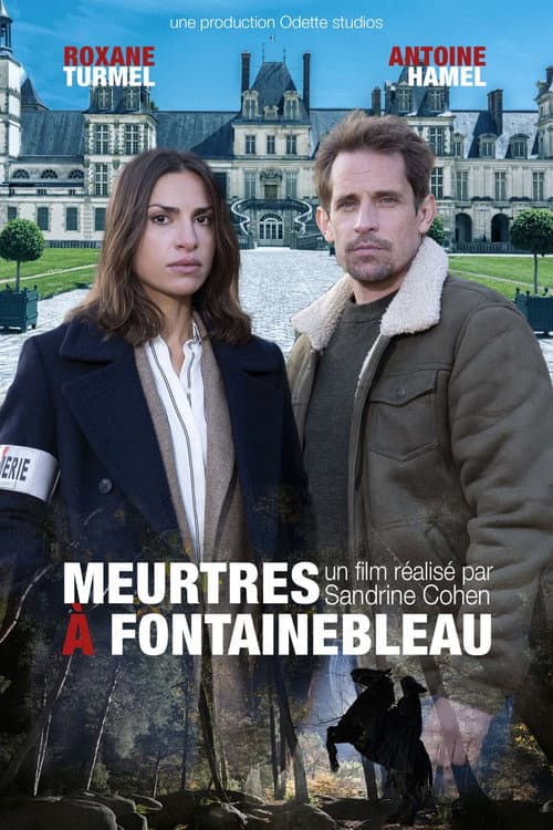 Meurtres à Fontainebleau poster
