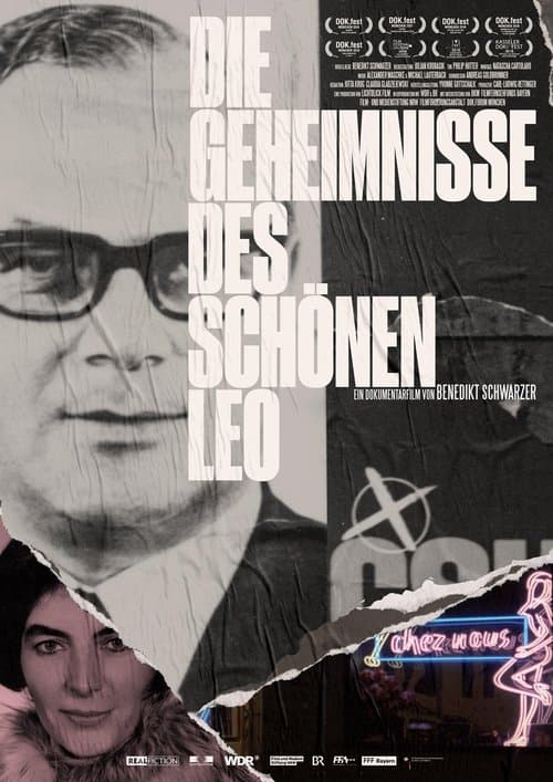 Die Geheimnisse des schönen Leo poster