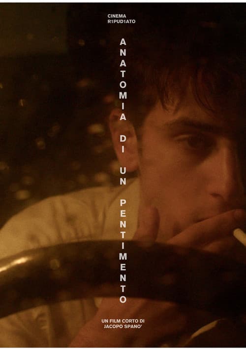Anatomia di un pentimento poster