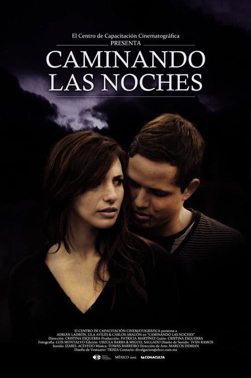 Caminando las noches poster