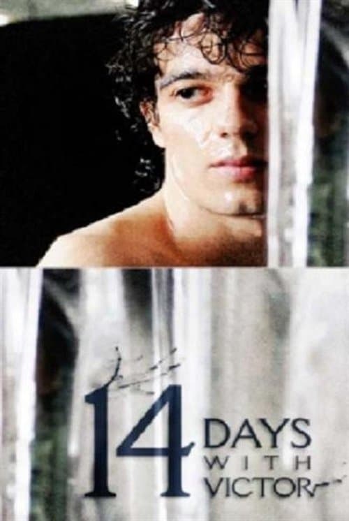 14 Days with Victor poster