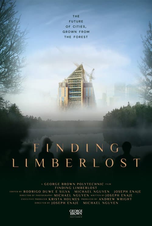 Finding Limberlost poster