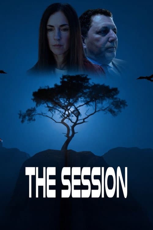 The Session poster