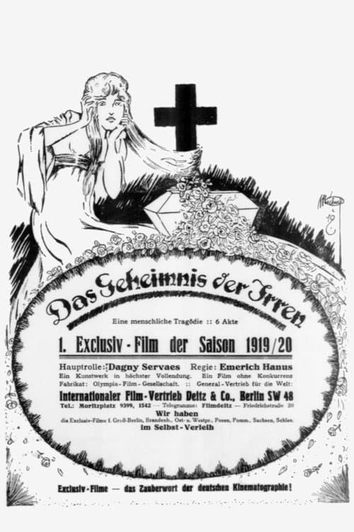 Das Geheimnis der Irren poster