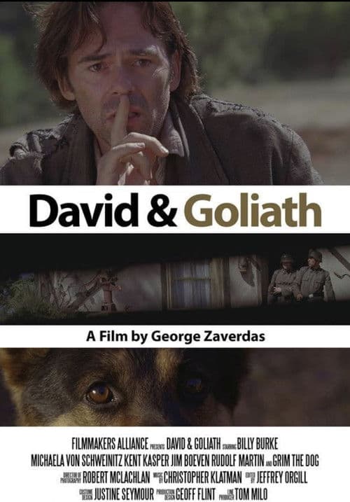 David and Goliath poster