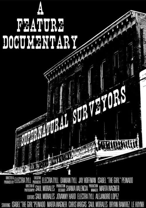 Supernatural Surveyors poster