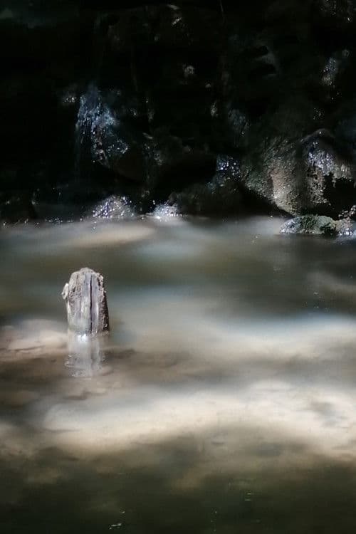 The Aqueduct of Seyssuel poster