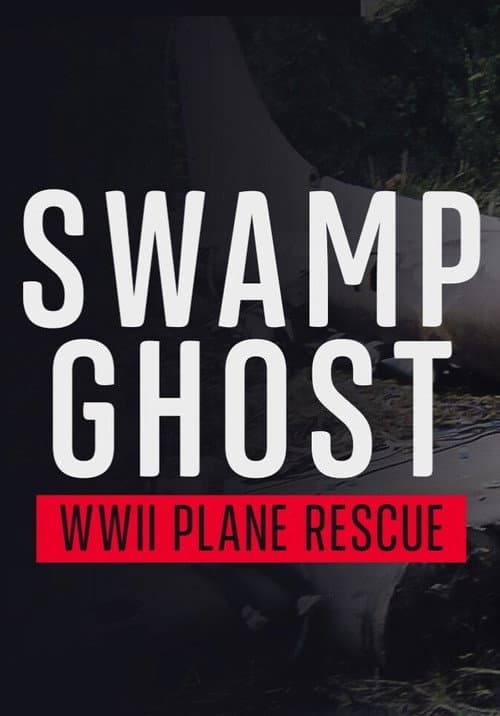 Swamp Ghost: WWII Plane Rescue poster