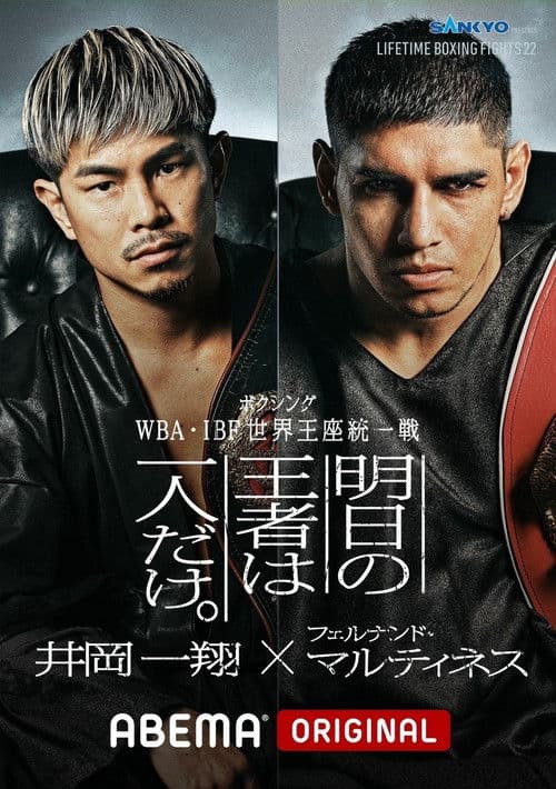 LIFETIME BOXING FIGHTS 22 poster