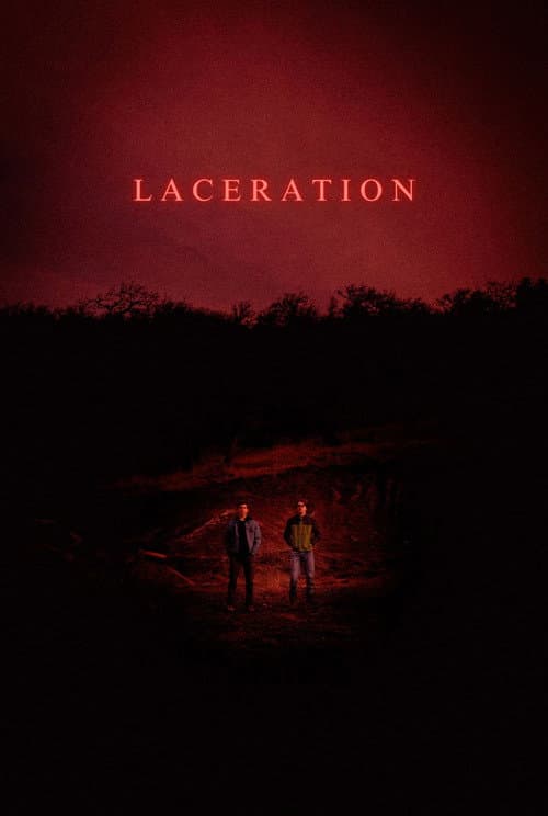 Laceration poster