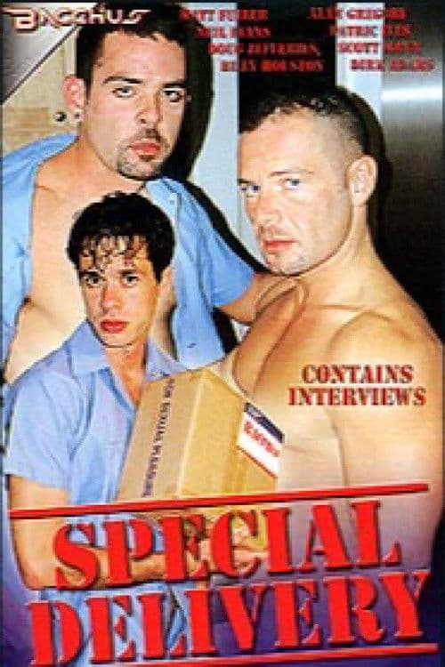 Special Delivery poster