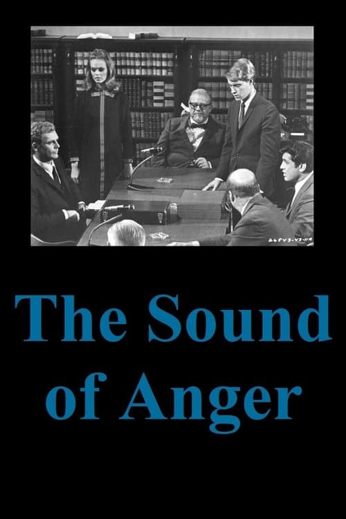 The Sound of Anger poster