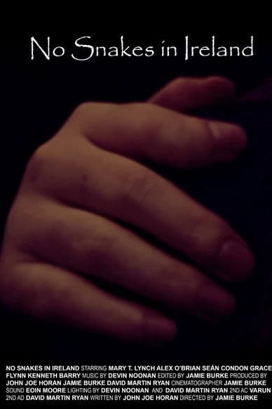 No Snakes in Ireland poster