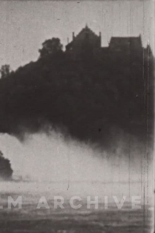 The Little Swiss Woodcarver poster