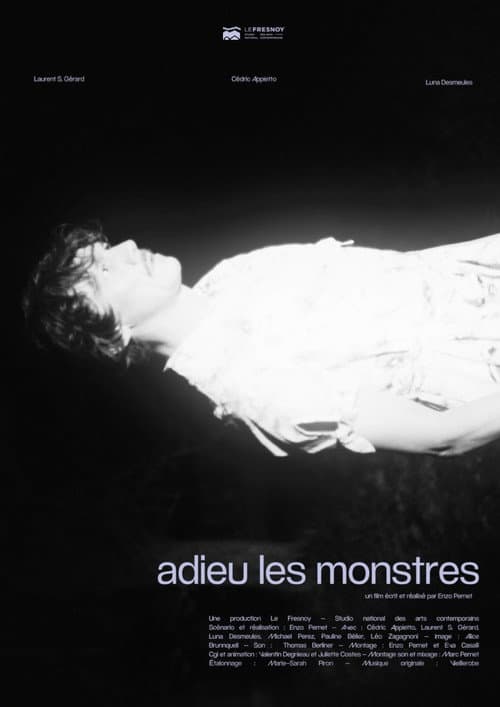 Adieu les monstres poster