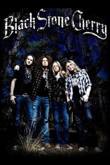 Black Stone Cherry: Crossroads Festival 2009 poster
