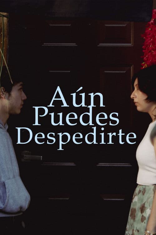 Aún puedes despedirte poster