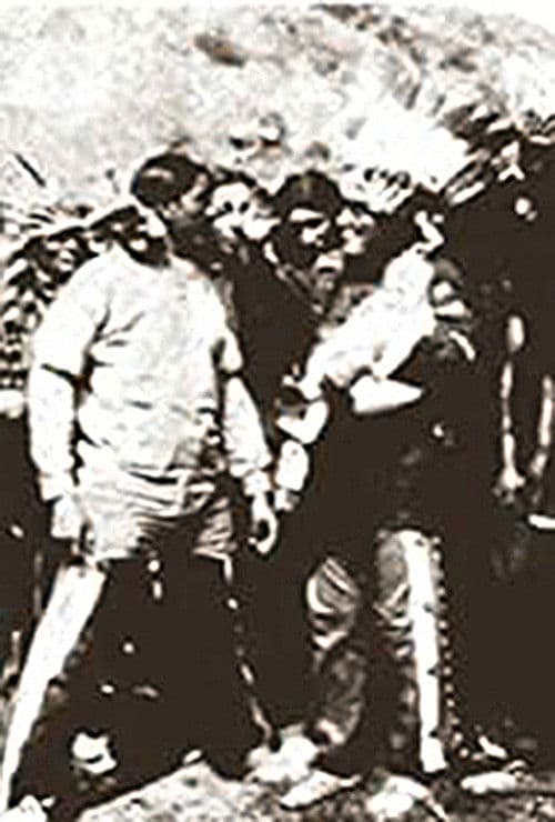 The Way of a Mother poster