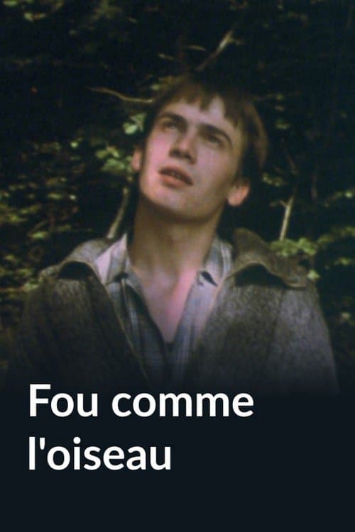 Fou comme l'oiseau poster