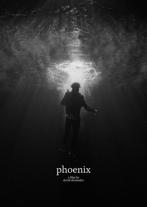 Phoenix poster