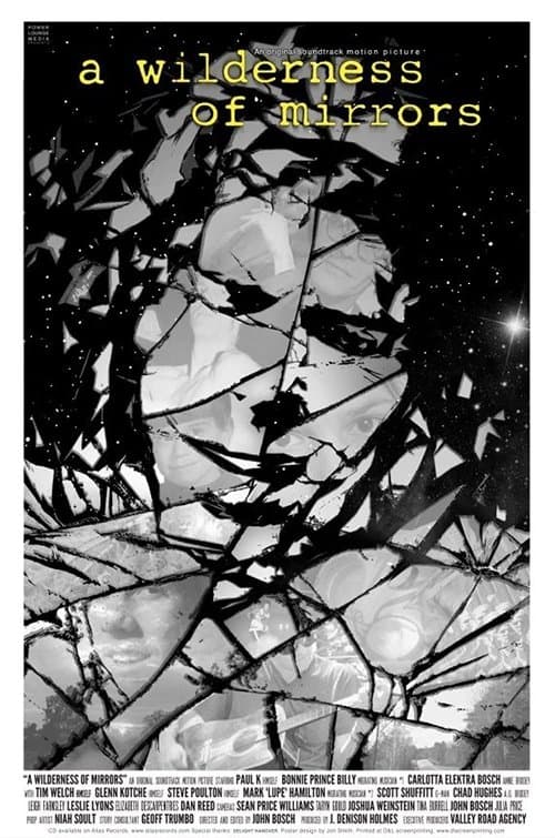 A Wilderness of Mirrors poster