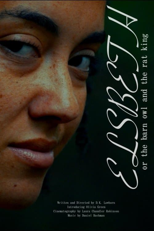 Elsbeth: or the barn owl and the rat king poster