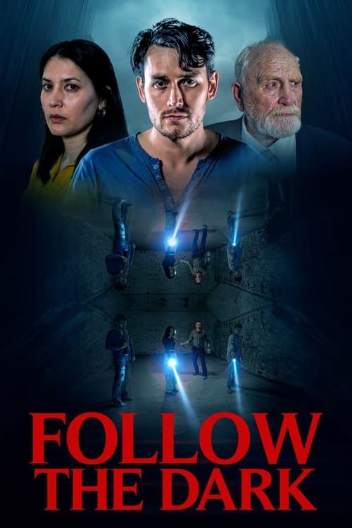 Follow the Dark poster