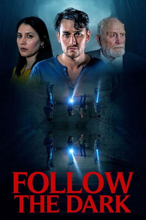 Follow the Dark poster