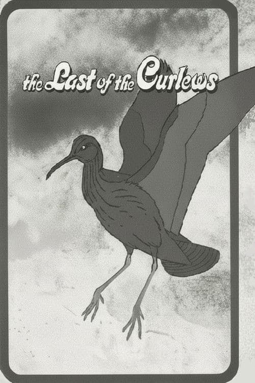 The Last of the Curlews poster