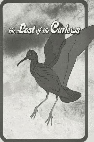 The Last of the Curlews poster