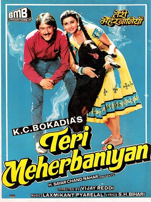 Teri Meherbaniyan poster