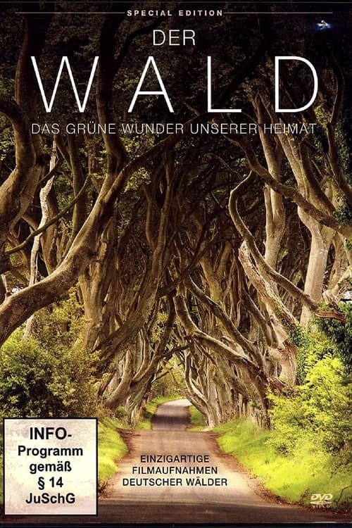 Der Wald - Das gruene Wunder unserer Heimat