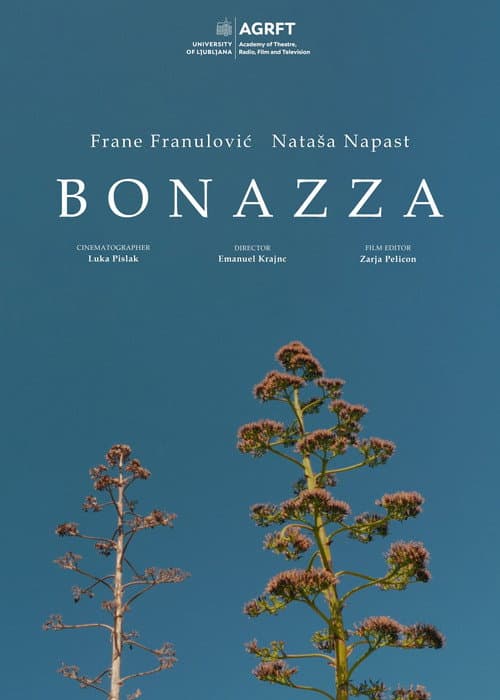 Bonazza poster