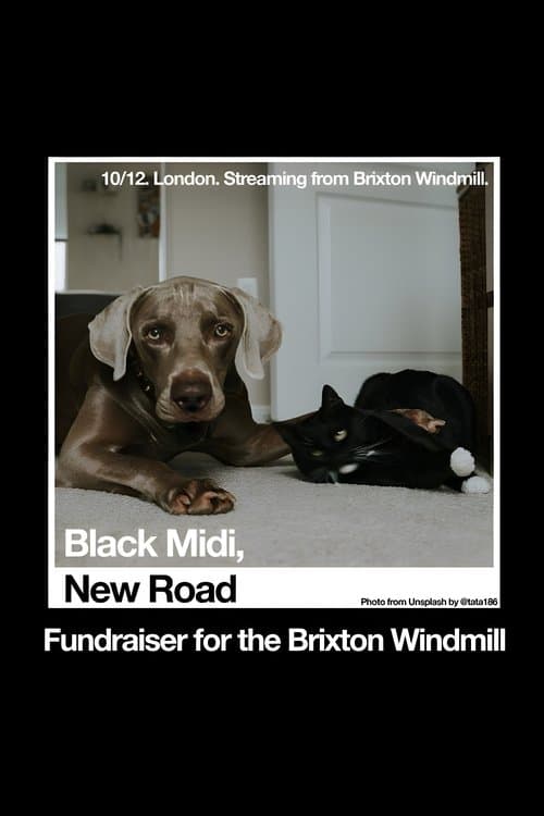 Black Midi, New Road: 'Live at The Windmill, Brixton.' poster