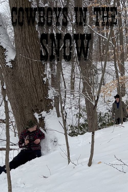 Cowboys In The Snow poster