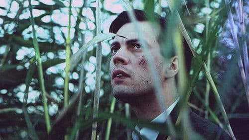 Agent Wild Duck poster