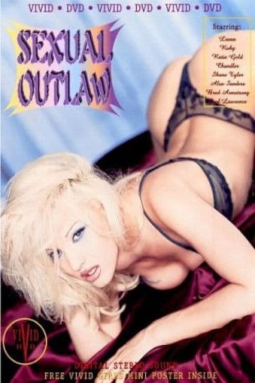Sexual Outlaw poster