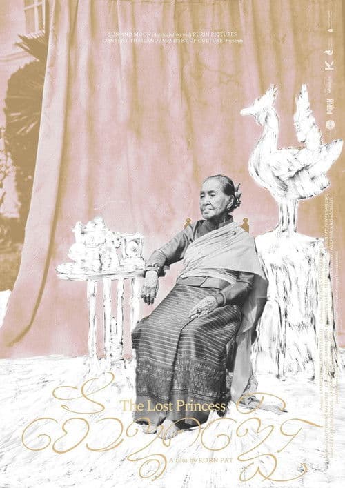 The Lost Princess poster