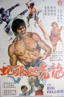 The Big Fellow poster