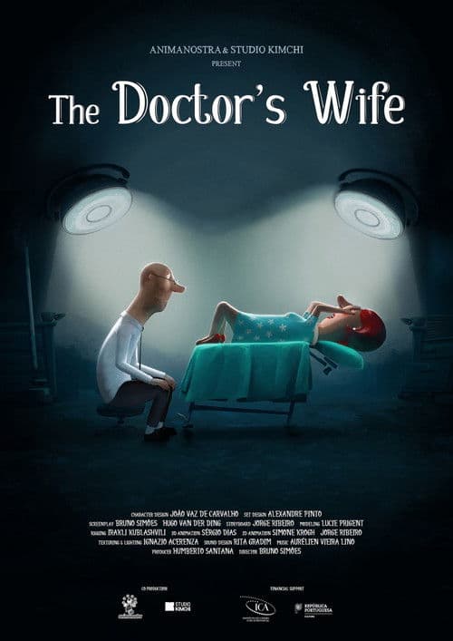 The Doctor's Wife poster
