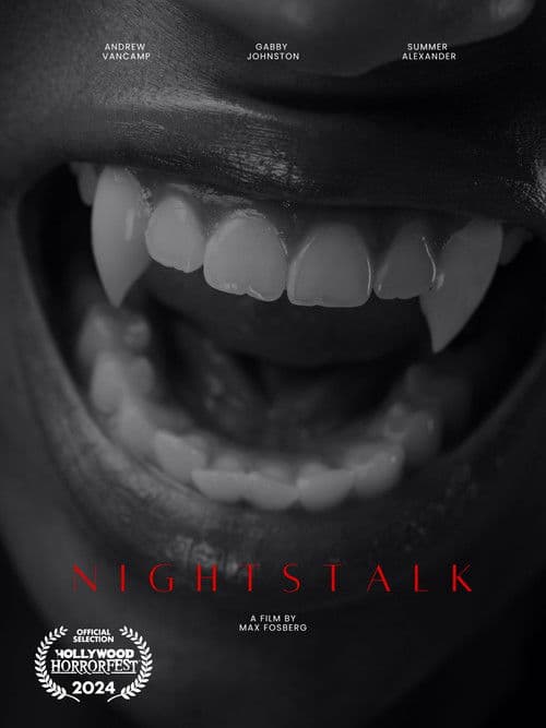 Nightstalk poster