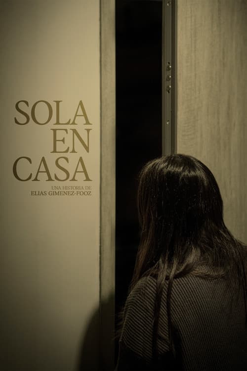 Sola En Casa poster