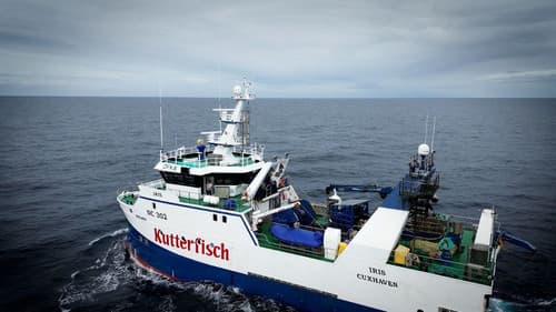 Gegen Wind und Wellen - Auf Fangfahrt mit den deutschen Seelachsfischern poster