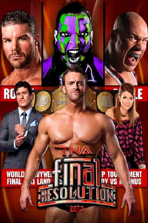 TNA Final Resolution 2013 poster