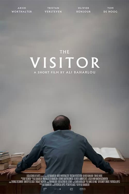 The Visitor poster