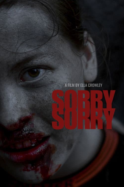 Sorry Sorry poster