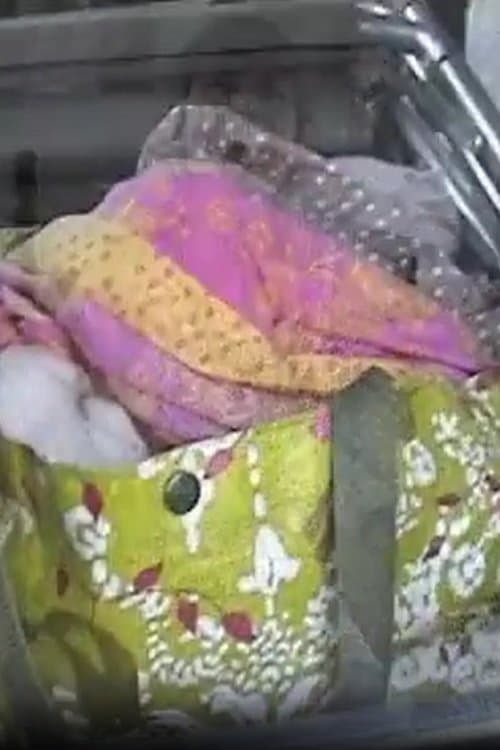 Vintage Visits poster